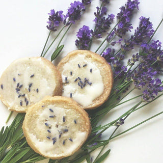 Potting Shed Creations Essential Lavender Flower Garden | Mother's Day