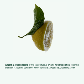 Corpus Amalgame 5 Hand Cream- Lemon, Cypress, Bergamot, Vetiver