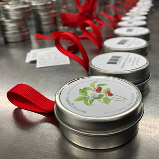 Potting Shed Creations Garden Sprinkle  10 mg Seed  | Christmas Wintergreen