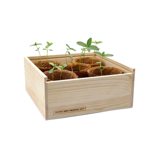 Wooden planter box with small plants on a white background
