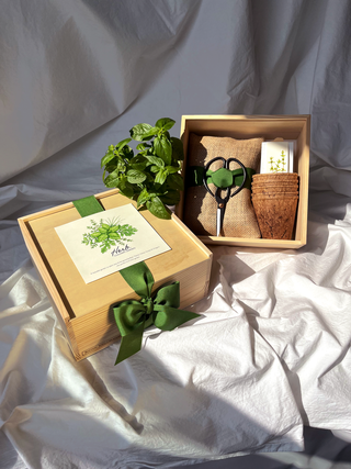 Potting Shed Creations Flower Cutting Garden Box | Mixed Zinnia