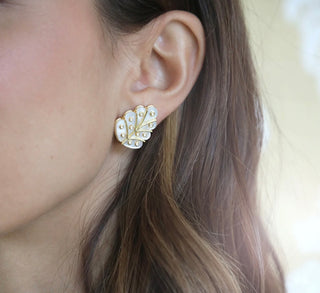 Asha Helena Stud