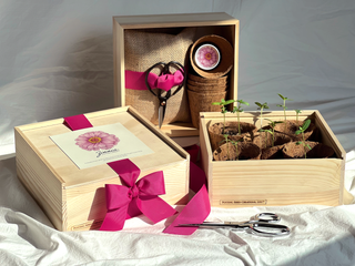 Flower Cutting Garden Box by Potting Shed Creations. Set includes: California Giant Zinnia seed mix in a reusable tin (covers approx. 150 sq ft) . 5 coir seedling pots to get an early start indoors (additional seed included to direct sow as weather warms), drip tray for seedling pots,  OMRI listed seed-starting soil . flower shears,  easy-follow directions for both indoor starting &amp; direct sowing, along with harvest and seed collection tips to save seed for next year’s garden. Set comes in a pine box. 