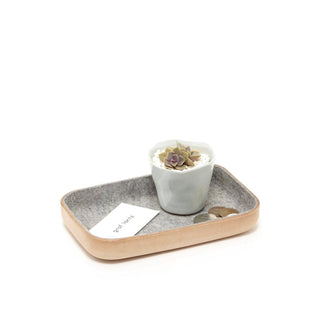 Graf Lantz small natural leather tray with grey felt lining with a small potted succulent and change.