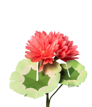 The Green Vase Mini Geranium Plant Salmon - Final Sale