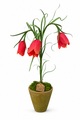 Paper fritillaria plant by The Green Vase with 3 hand dyed blooms in a beautiful aged terra cotta pot. Approximately 19” tall, 10” at widest point. Pot measures 5" high and 4.5" in diameter. Each piece is meant to be an impressionistic gesture capturing the spirit of the flower, and just like the real thing, no two will ever be exactly alike.