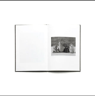 After Morandi by Gary Green