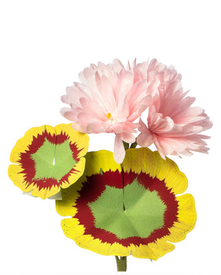 The Green Vase Mini Geranium Plant - Final sale
