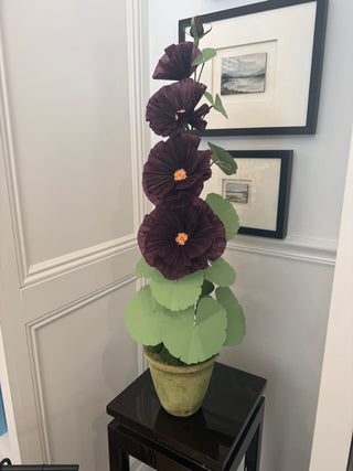 The Green Vase Hollyhock Plant -Final Sale