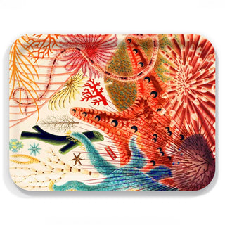 16.5”L x 12.5” W birchwood tray by Caskata with an underwater colorful algae scene depicted on the tray.
FSC-Certified Birchwood and BPA-free Melamine * Suitable for indoor or outdoor use * Hand-wash Recommended