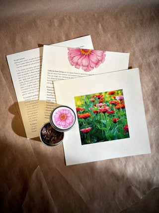 Potting Shed Creations Flower Cutting Garden Box | Mixed Zinnia