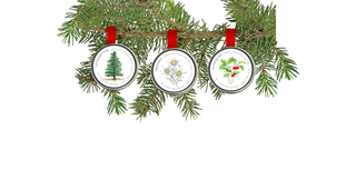 Potting Shed Creations Garden Sprinkle  10 mg Seed  | Christmas Wintergreen