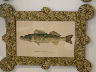 Framed Pike Perch Print 23.5”x 16”